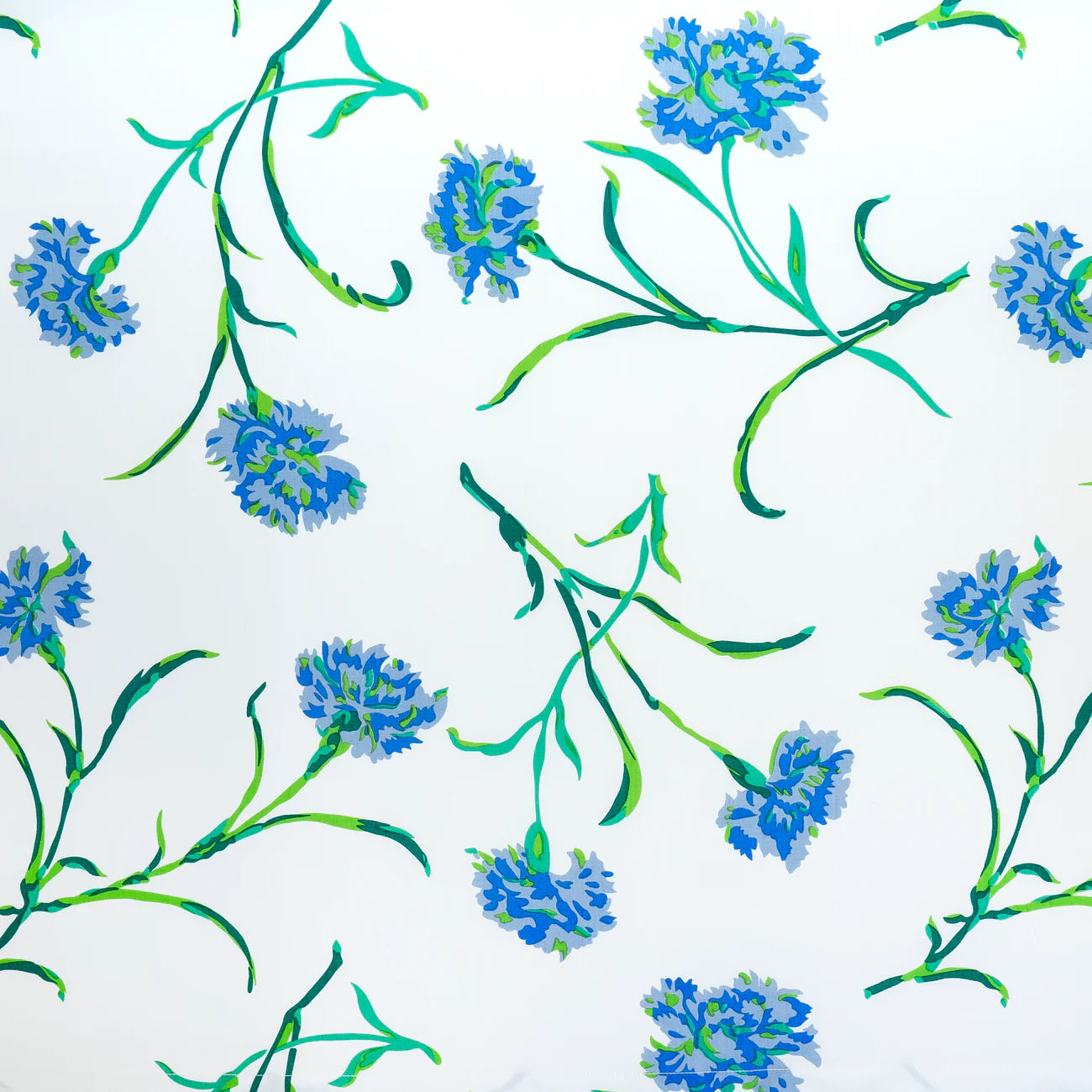 Oeillets Bleu & Vert