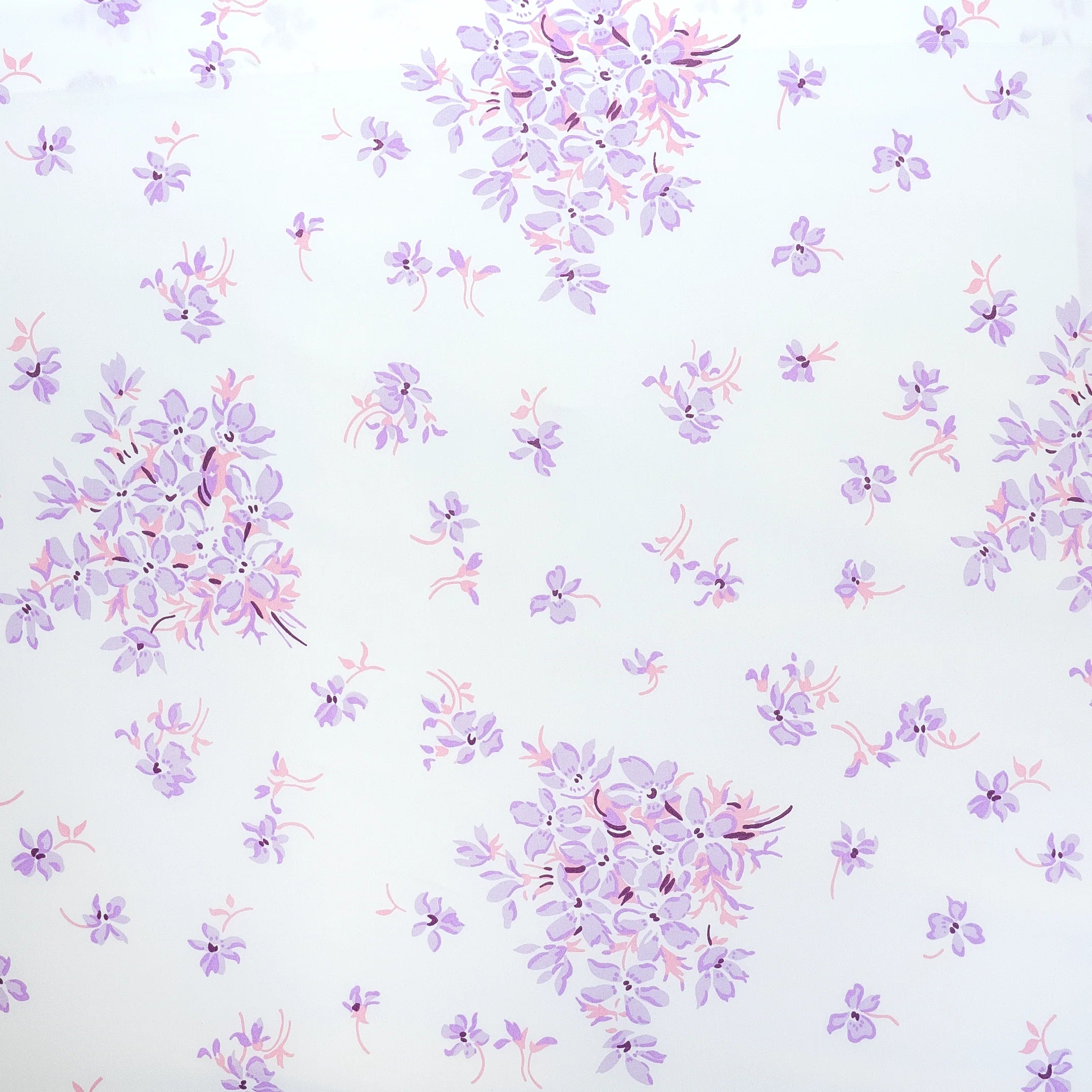 Violettes Lilac